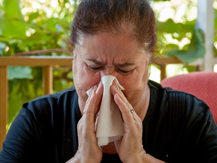 Home Remedies For Allergies Relieve Allergy Symptoms