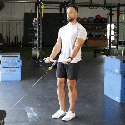 Cable Curl Benefits Muscles Worked And Common Mistakes