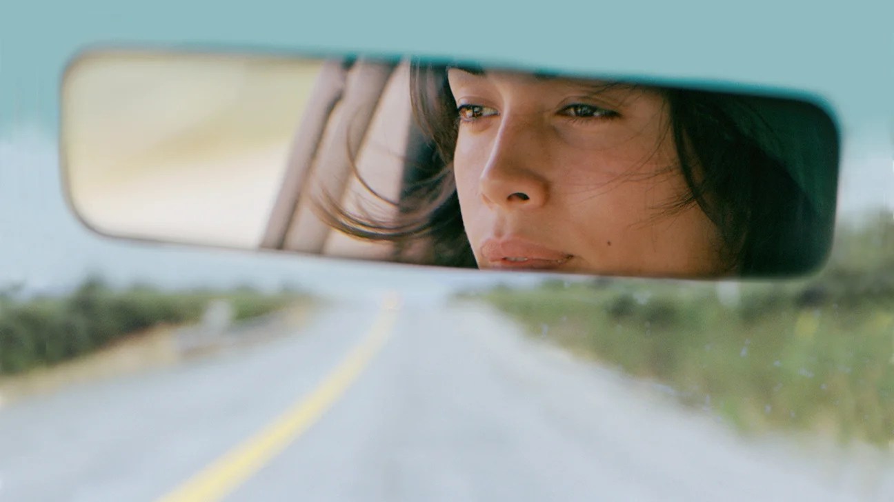 Fight Flight Freeze Or Fawn Understanding Trauma Responses