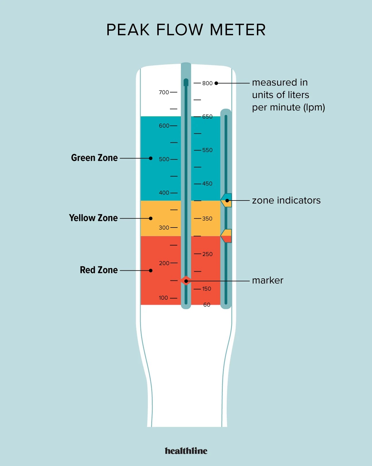 7 Best Peak Flow Meters Tips For Taking Measurements
