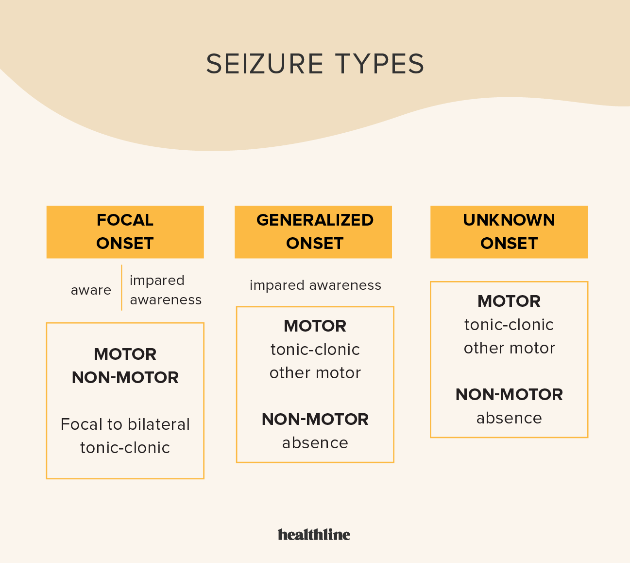 Seizures Vs Seizure Disorders