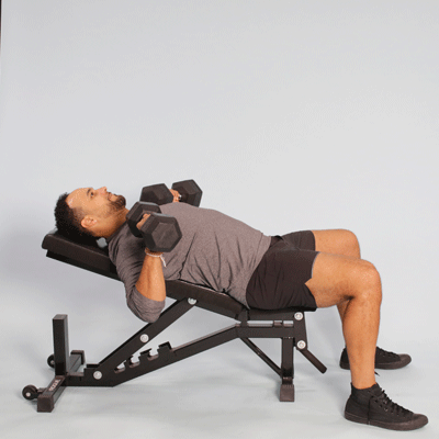 Push Pull Workouts Routines And Guide For Building Muscle