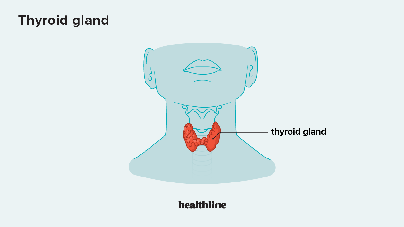 Hypothyroidism Underactive Thyroid Symptoms Causes Treatment