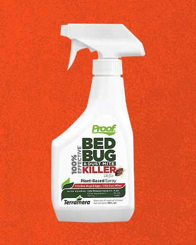 Bed Bug Sprays Best Product Options And Other Tips