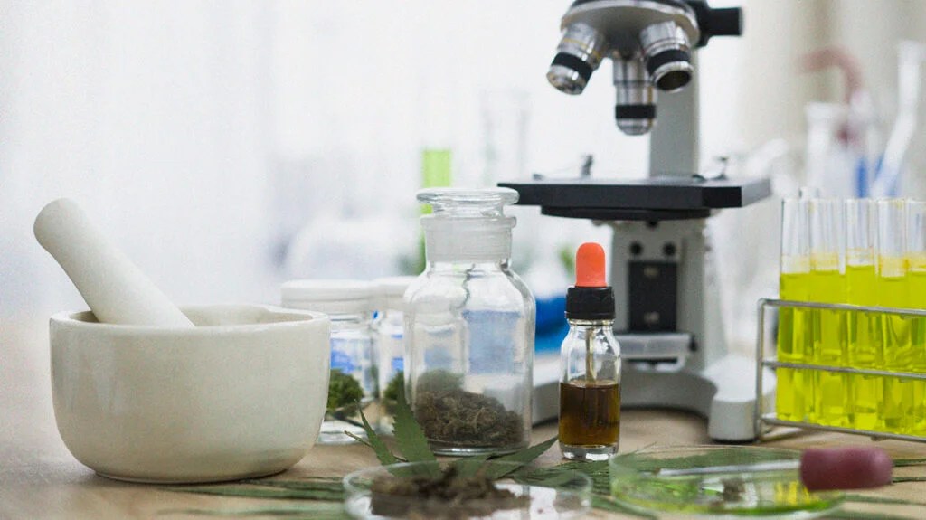 Cbd For Weight Loss Does It Work