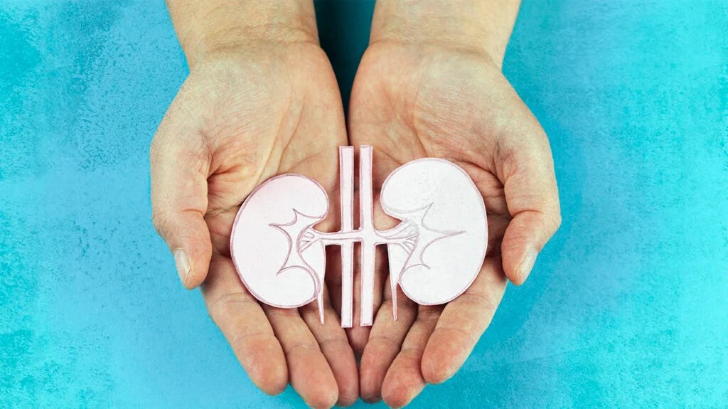 Renal Hypertension Definition Causes Symptoms And Treatment
