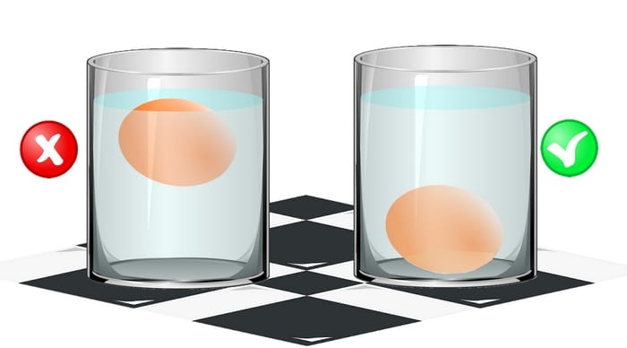 Comment Savoir Si Un œuf Est Frais Poulailler Bio