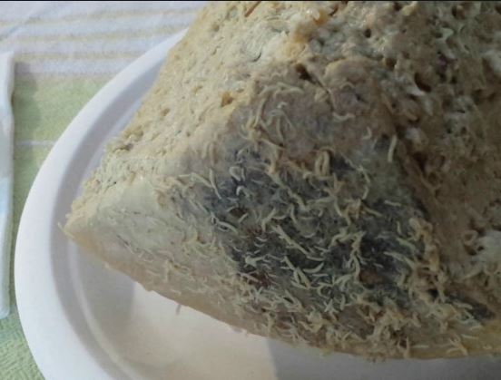 El Queso Mas Peligroso Del Mundo Prisionero En Argentina