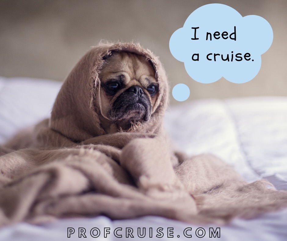 Funny Cruise Memes Archives Prof Cruise
