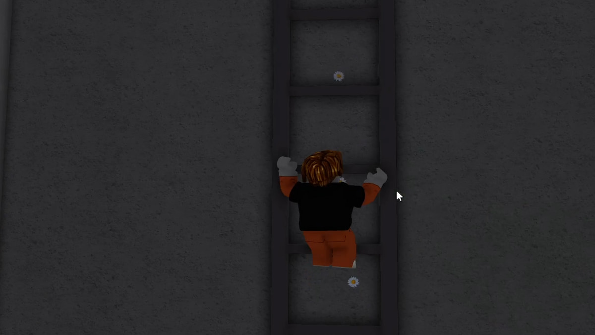 A player climbing a ladder in Barry's Prison Run