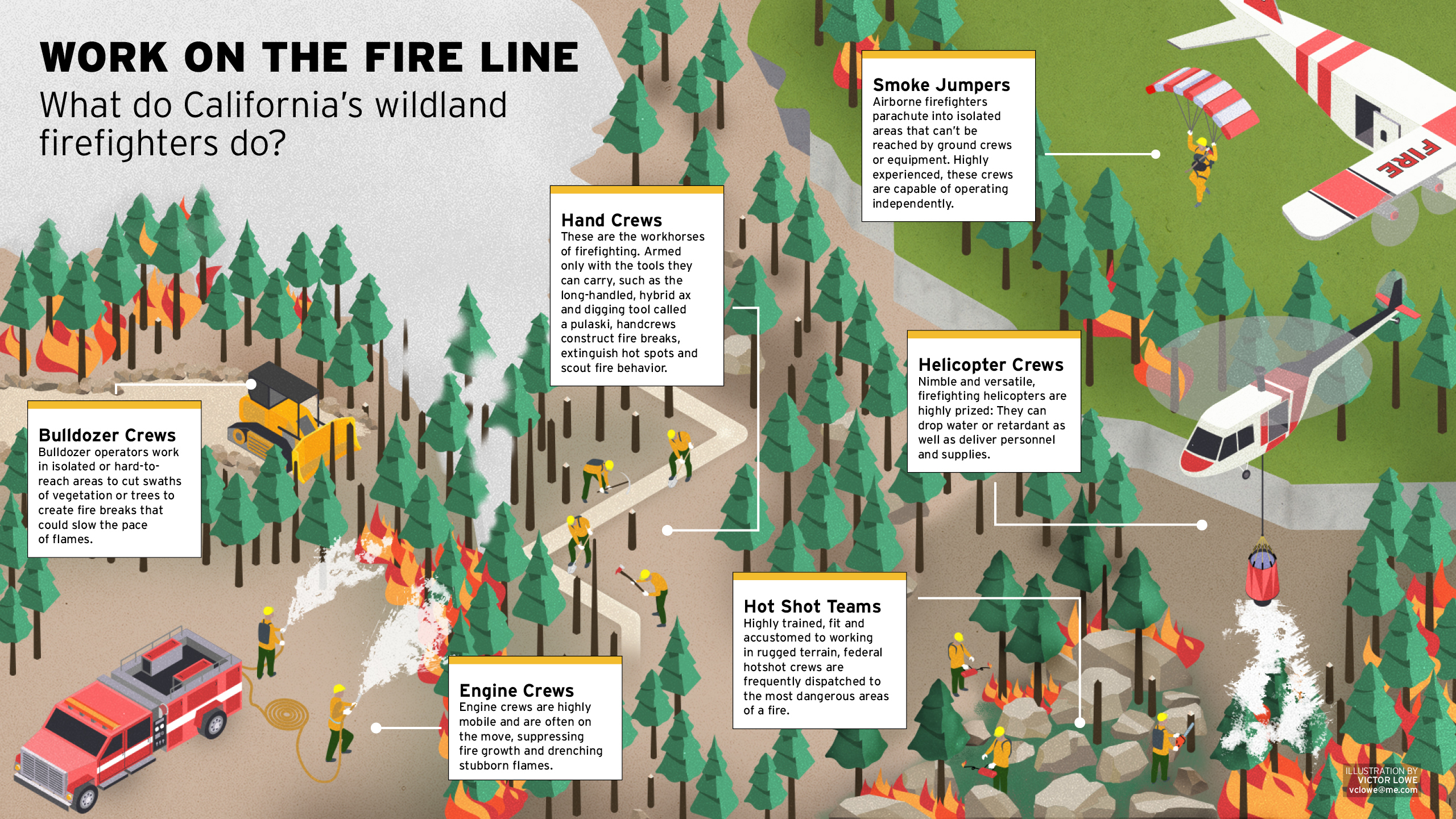 an illustration of what wildland firefighters do 