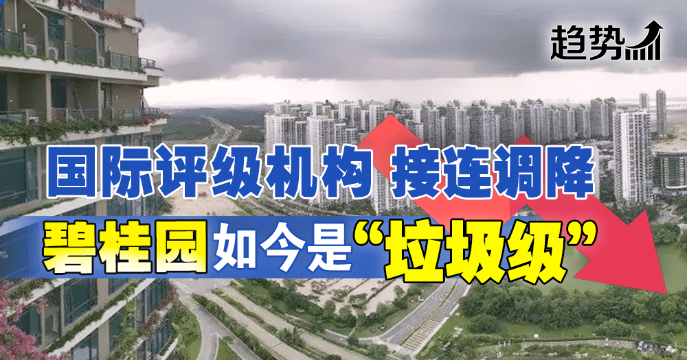 碧桂园变 垃圾级 Nanyang Property