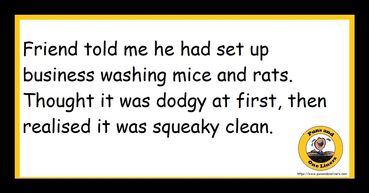 Washing Jokes Puns And One Liners