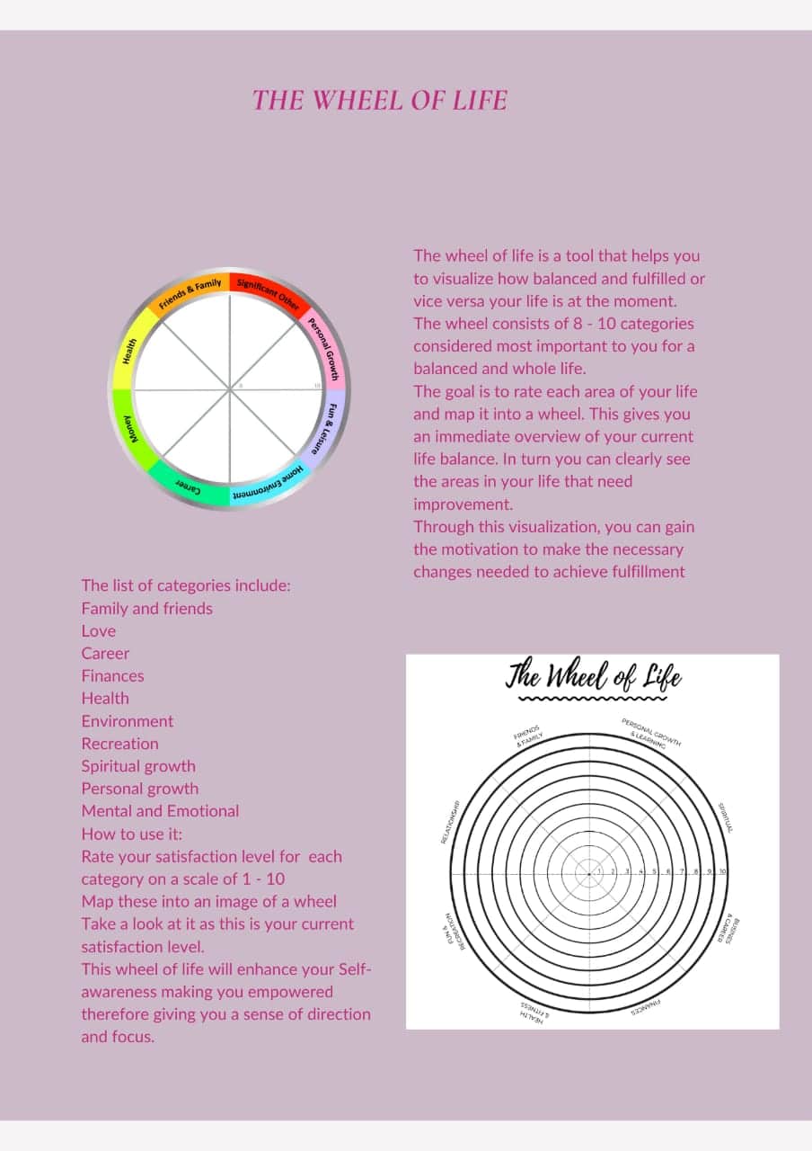 wheel of life