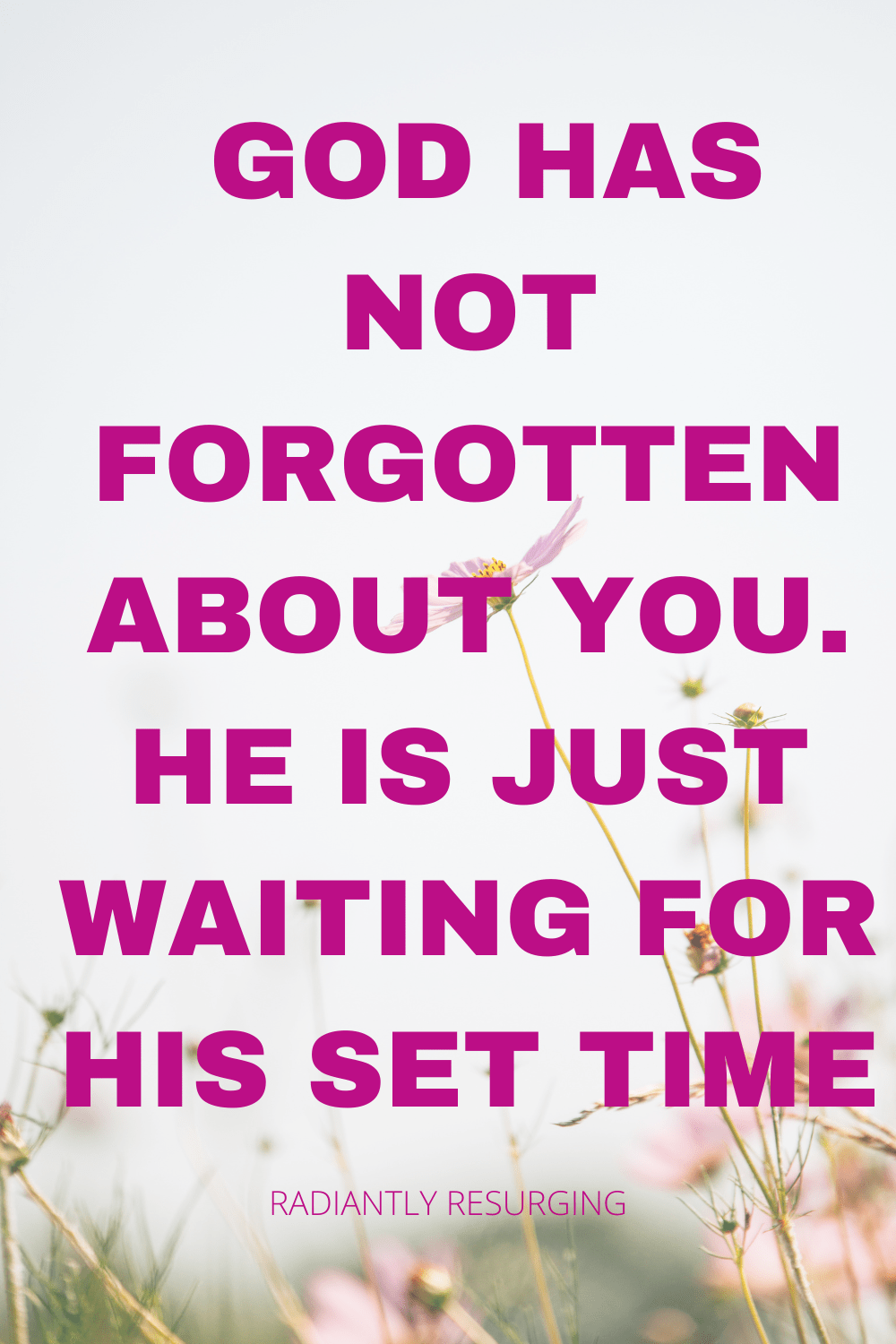 can't take it anymore