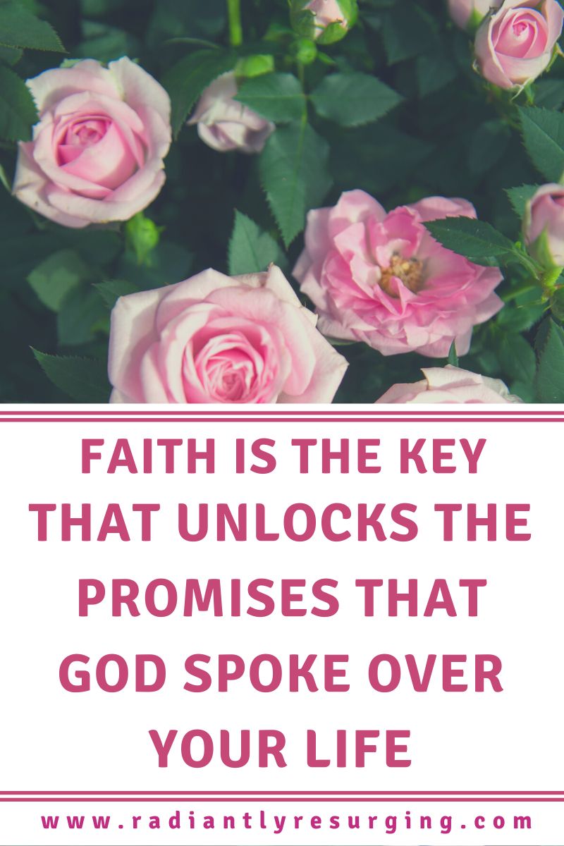 hold on to the promises God spoke over you