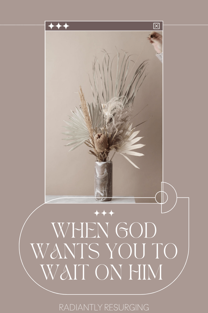 When God wants you to wait on Him to fulfill His promise