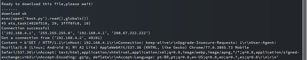 MicroPython Access Point (AP) web browser debugging information