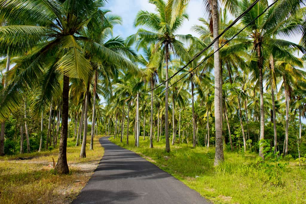 Roads in Nusa Penida