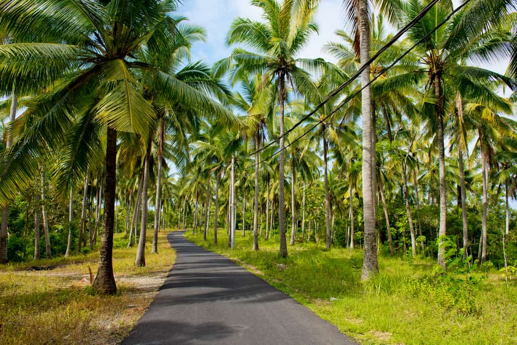 Roads in Nusa Penida 