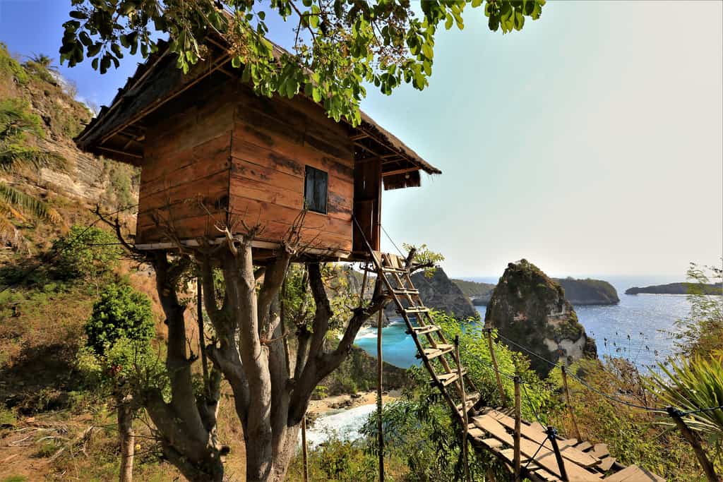 Rumah Pohon Tree house nusa penida #balitreehouse #rumahpohon