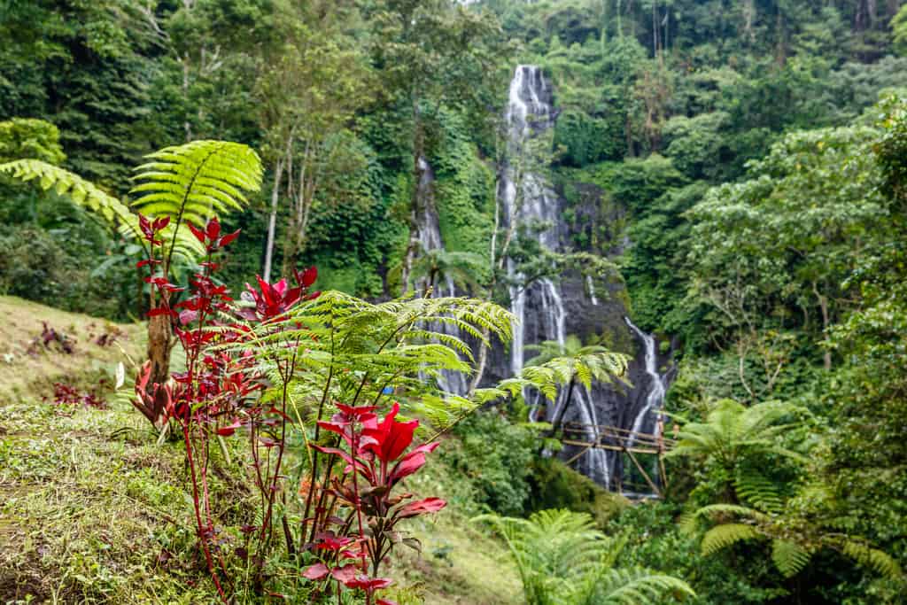 Banyumala Twin Waterfall