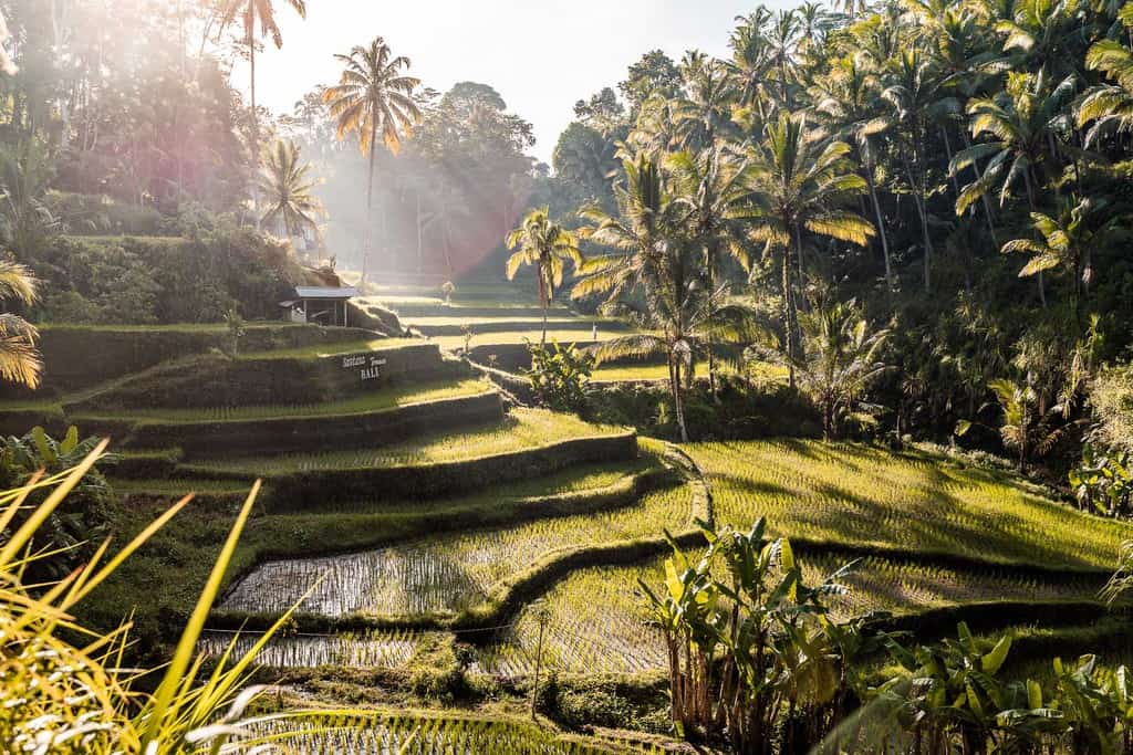 bali indonesia