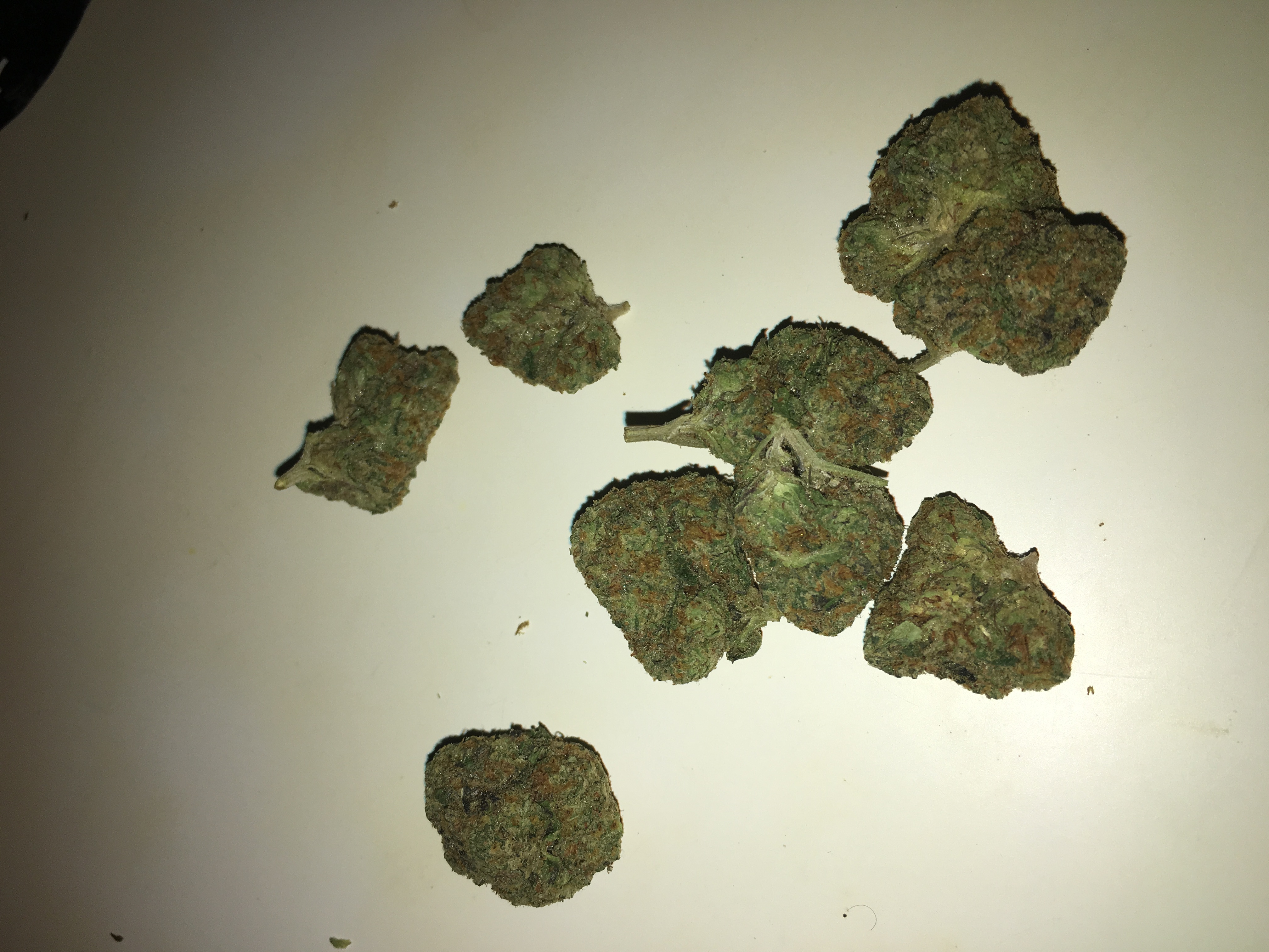 Gushers (Aka Fruit Gushers) Marijuana Strain Information ... - Weed Strain