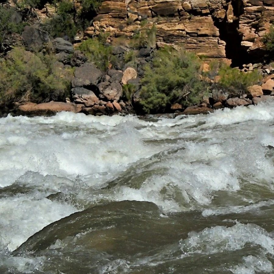 Life Is What You Make It Focus On Success: Rowing The Grand Canyon Part 4 Life Is What You Make It Focus On Success: Rowing The Grand Canyon Part 4