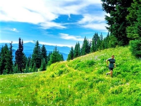 50 Mile Ultra Marathon Training Plan For The Wannabe Runner 50 Mile Ultra Marathon Training Plan For The Wannabe Runner