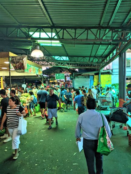 Non-Tourist Market of Santiago, Chile