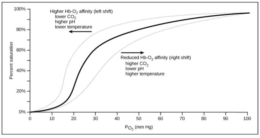 When Carbohydrate Is Metabolized Without Oxygen, It Is Called: Control Breathing And Unleash Potential: The #1 Trick To The Oxygen
