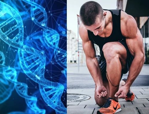 Genetics In Running, Genetics In Strength Training, And Genetics In General Don’t Matter Genetics In Running, Genetics In Strength Training, And Genetics In General Don’t Matter