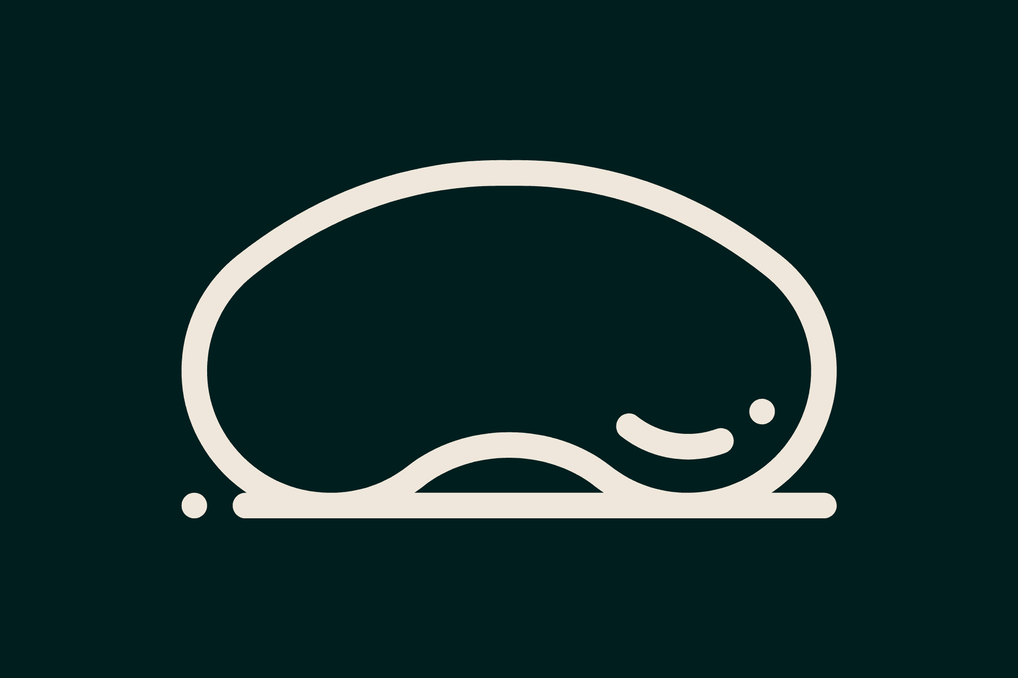 where to take photos in Chicago