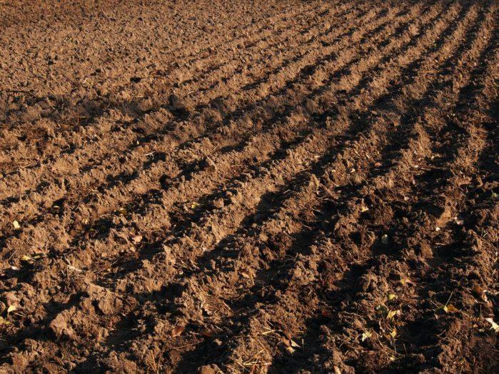 Till a Newly-Created Garden Soil Types
