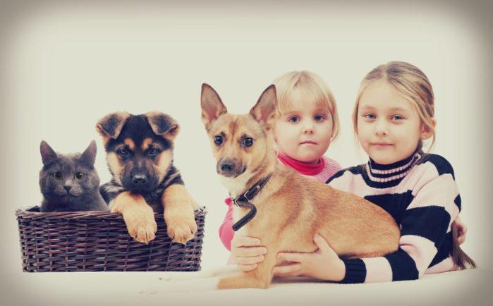 Children and Pets Children and Pets