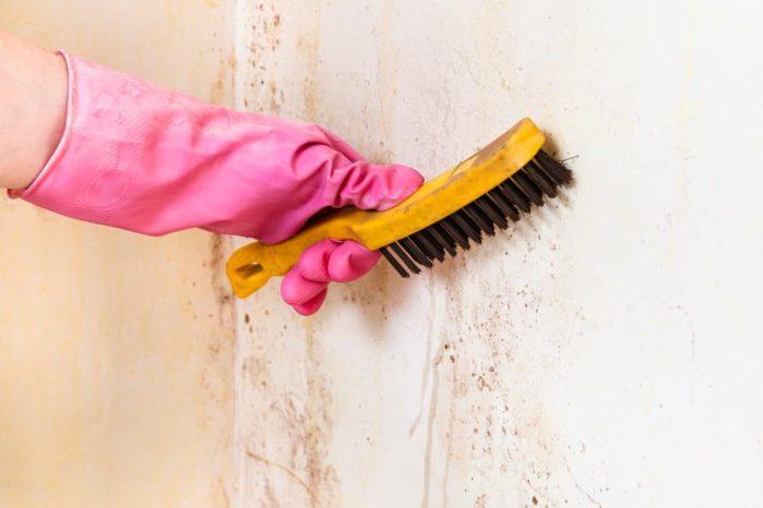 Cleaning the Wall Appropriately Cleaning Duster