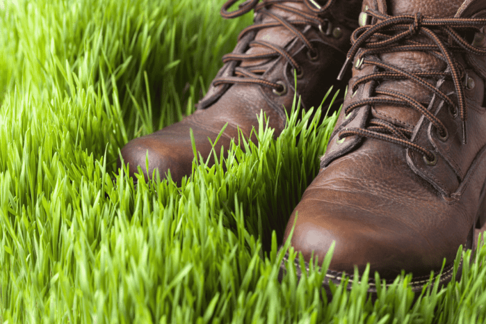 Closeup of boots in lush green grass Best Lineman Boots