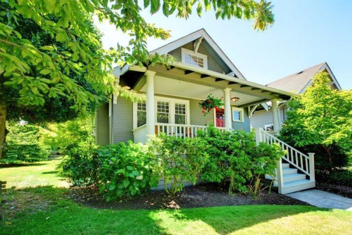 Home Renovation A Guide To Pest Control