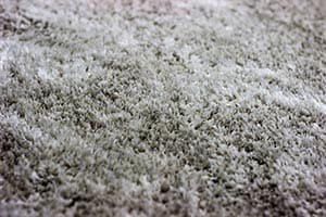 Carpet Materials Bathroom Renovation Tips