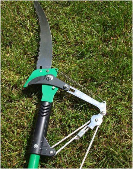 How To Use Pole Saw How to Use a Pole Saw