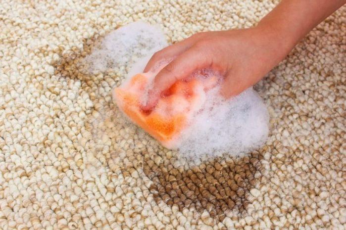 Paint Stain Remover Remove Notorious Paint Stains