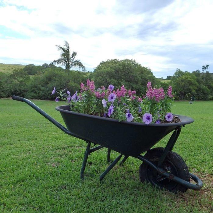 Wheelbarrow Planter Best Cities To Live In USA