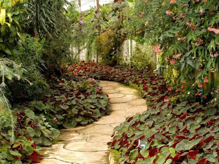 garden Health Issues When Redecorating