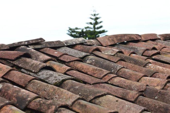 roof shingles When Is a New Roof Needed