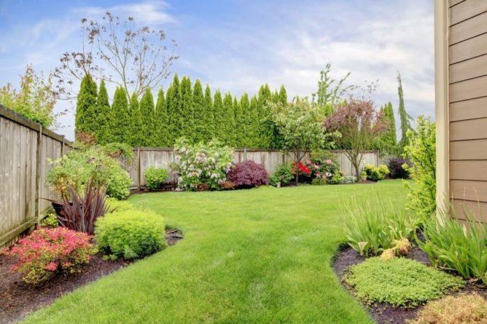 Lawn Care Conserve Energy
