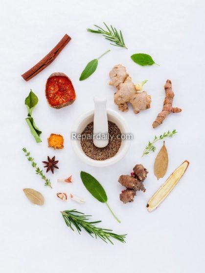 increase testosterone increase testosterone