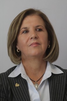 Lima Malvido