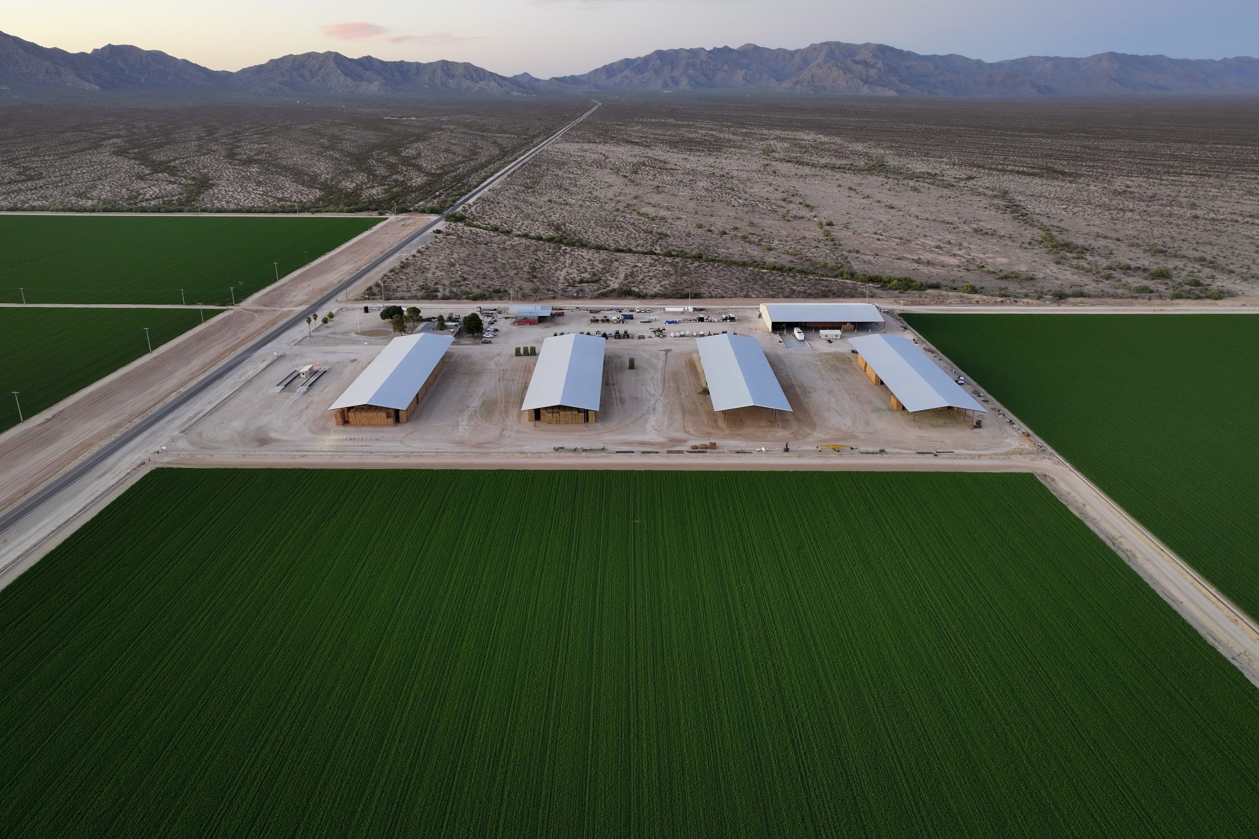 Four large structures cover bales of hay amid green agricultural fields in the foreground. The desert lies in the background.