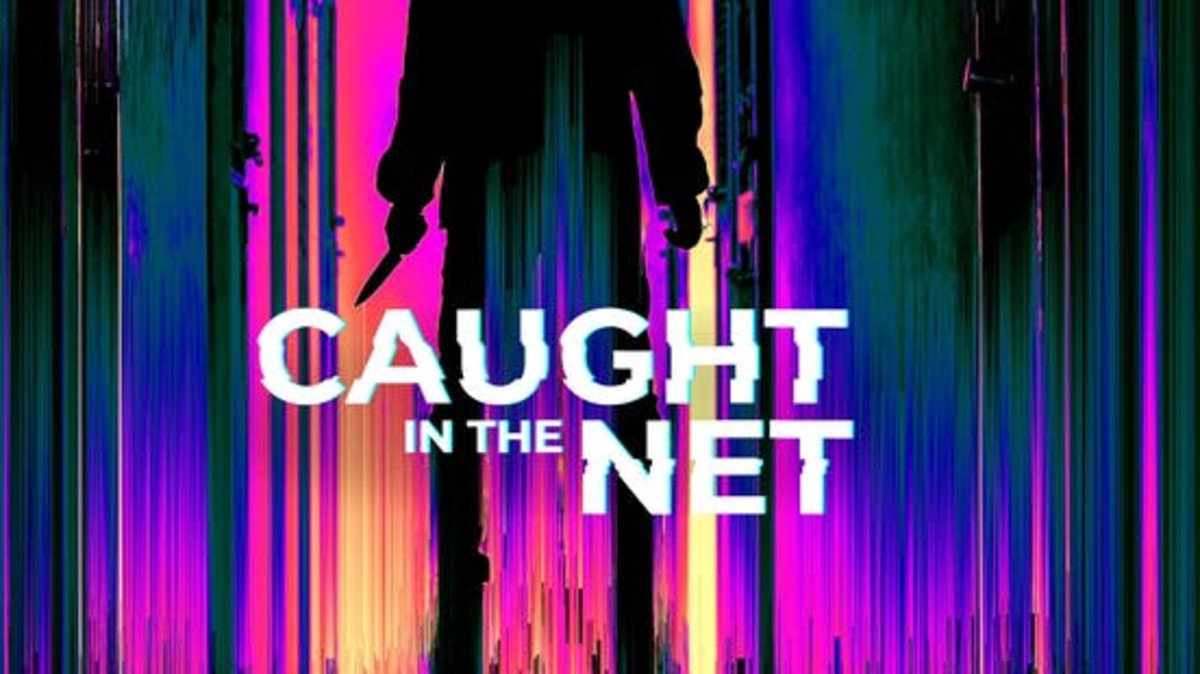 Comment regarder la première de la série Caught in the Net : diffusion en direct, chaîne de télévision, heure de début